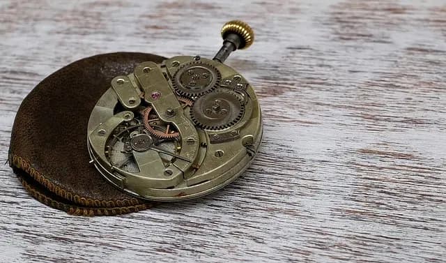 Guide d'achat montres à remontage manuel